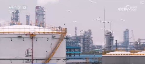 煉化工廠成鳥兒新家 綠色工廠盡顯工業之美